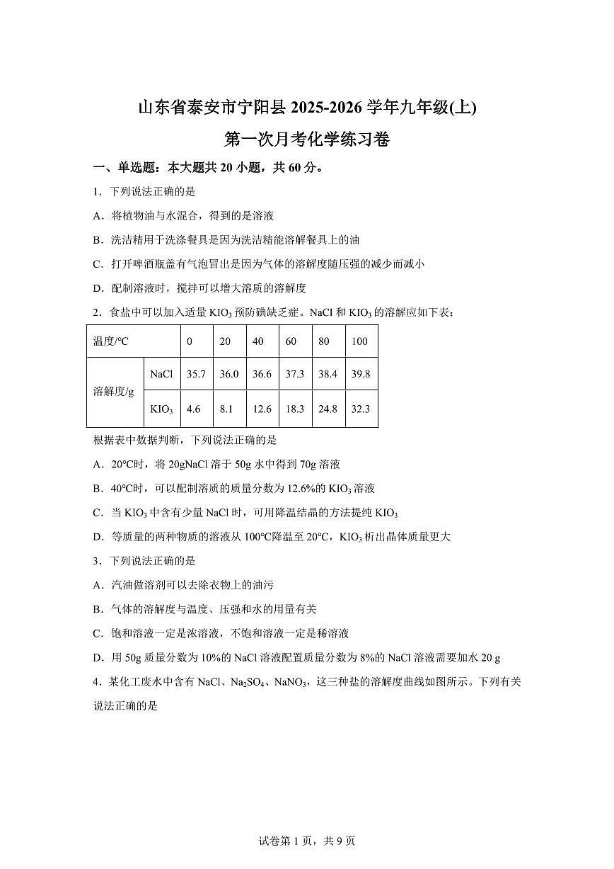 山东省泰安市宁阳县2025~2026学年九年级上册第一次月考化学检测试题（含答案）第1页
