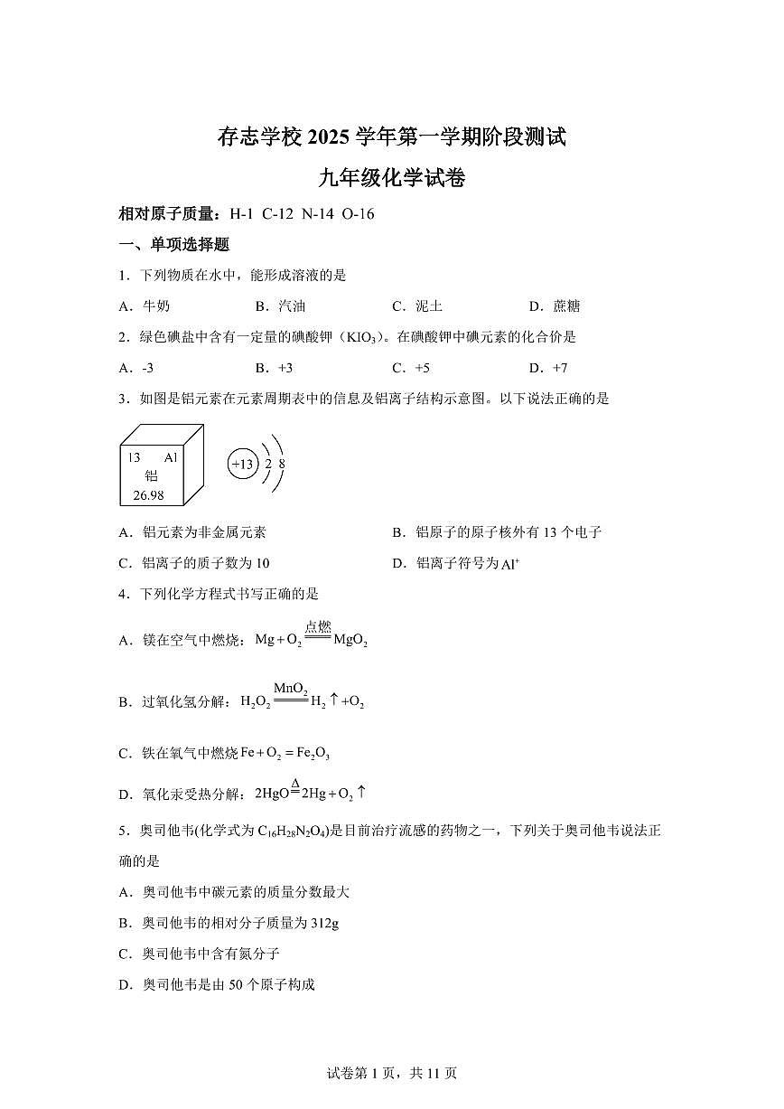 上海市同济大学附属存志东校2025~2026学年九年级上册9月考化学试题（含答案）第1页