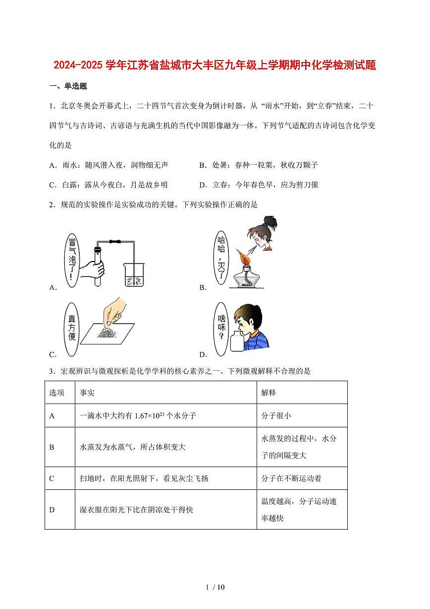 2024_2025学年江苏省盐城市大丰区九年级（上）期中化学试卷 [附答案]第1页