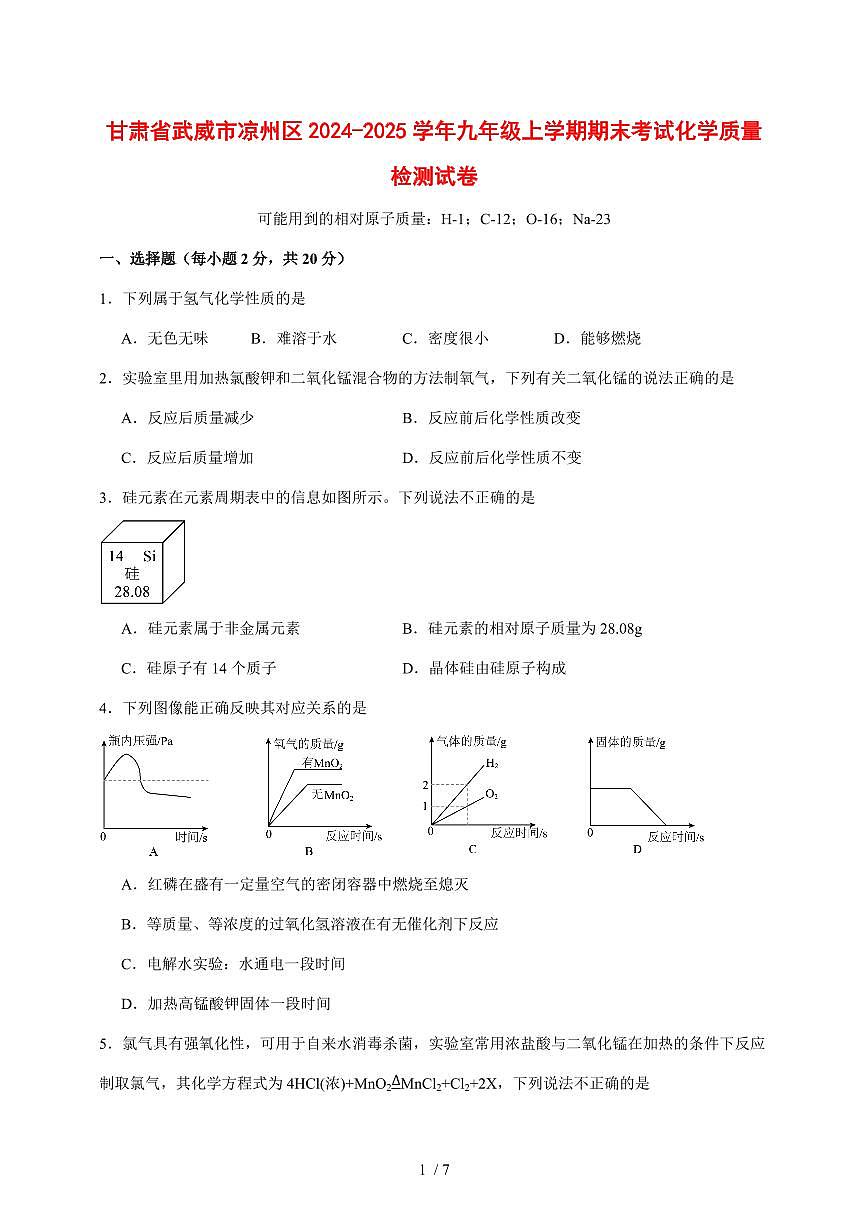 甘肃省武威市凉州区2024_2025学年九年级（上）期末化学试卷2 [附答案]第1页