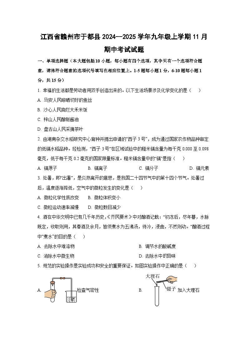 江西省赣州市于都县2024--2025学年九年级上学期11月期中考试化学试卷（学生版）第1页