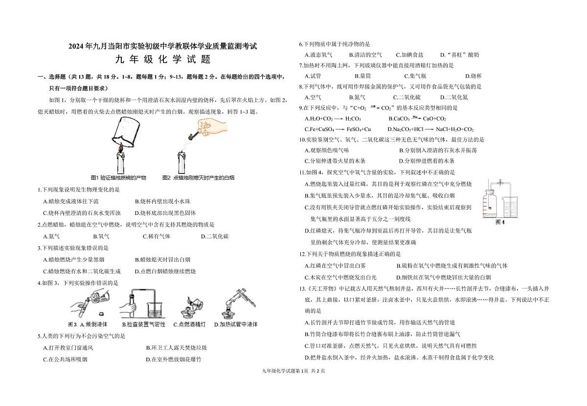湖北省当阳市实验初级中学九年级化学9月考试题2024年人教版第1页