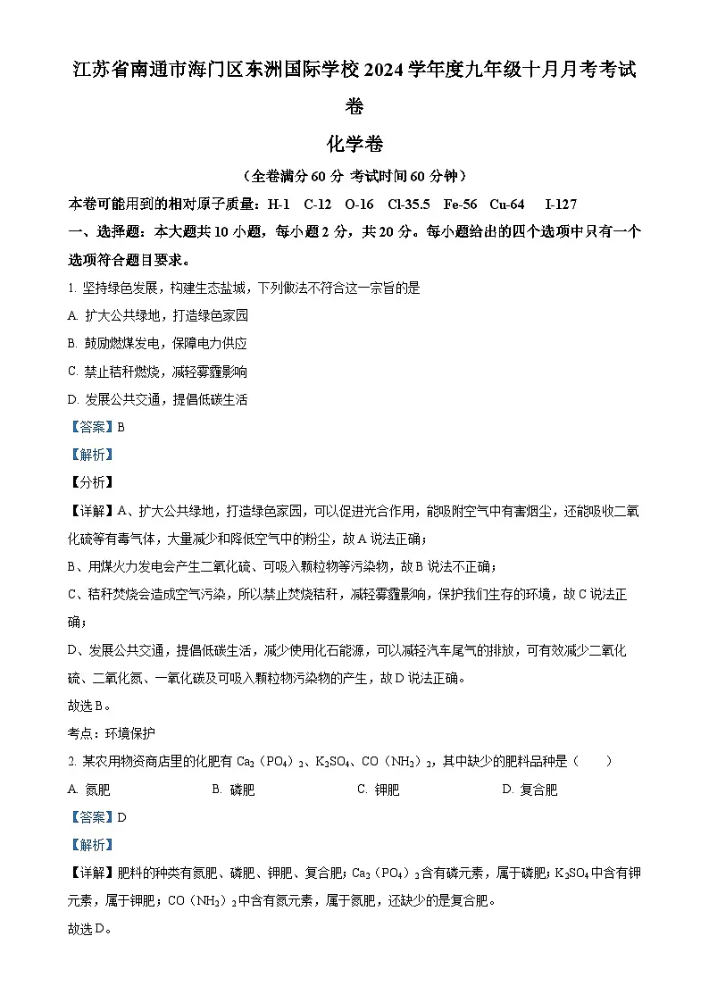 江苏省南通市海门区东洲国际学校2024-2025学年九年级上学期10月月考化学试题（解析版）-A4第1页