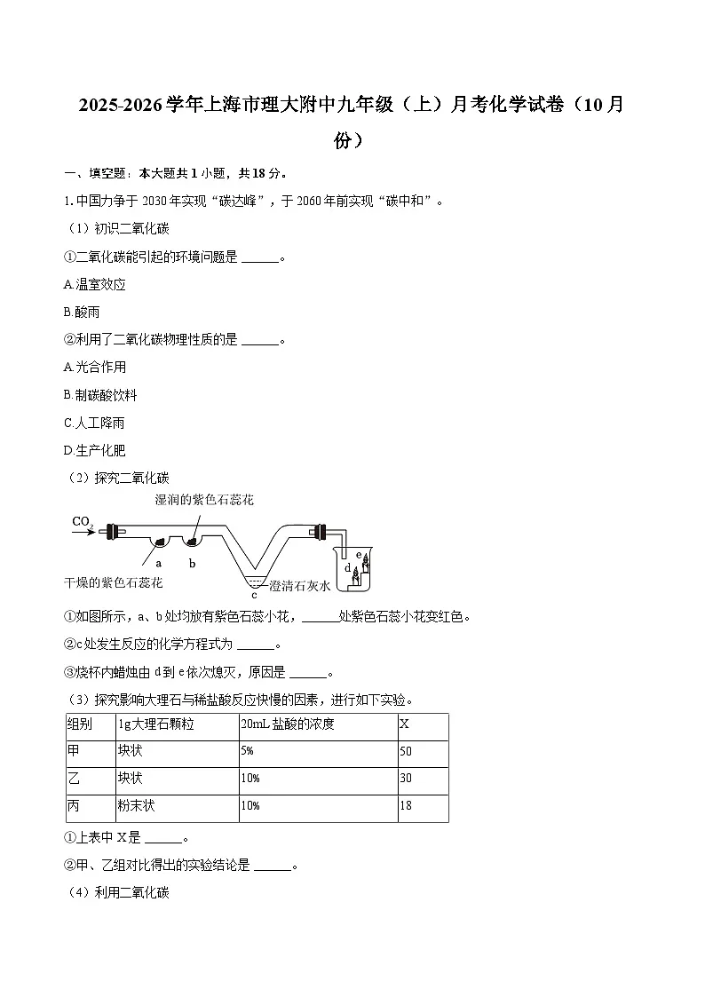 2025-2026学年上海市理大附中九年级（上）月考化学试卷（10月份）-自定义类型第1页
