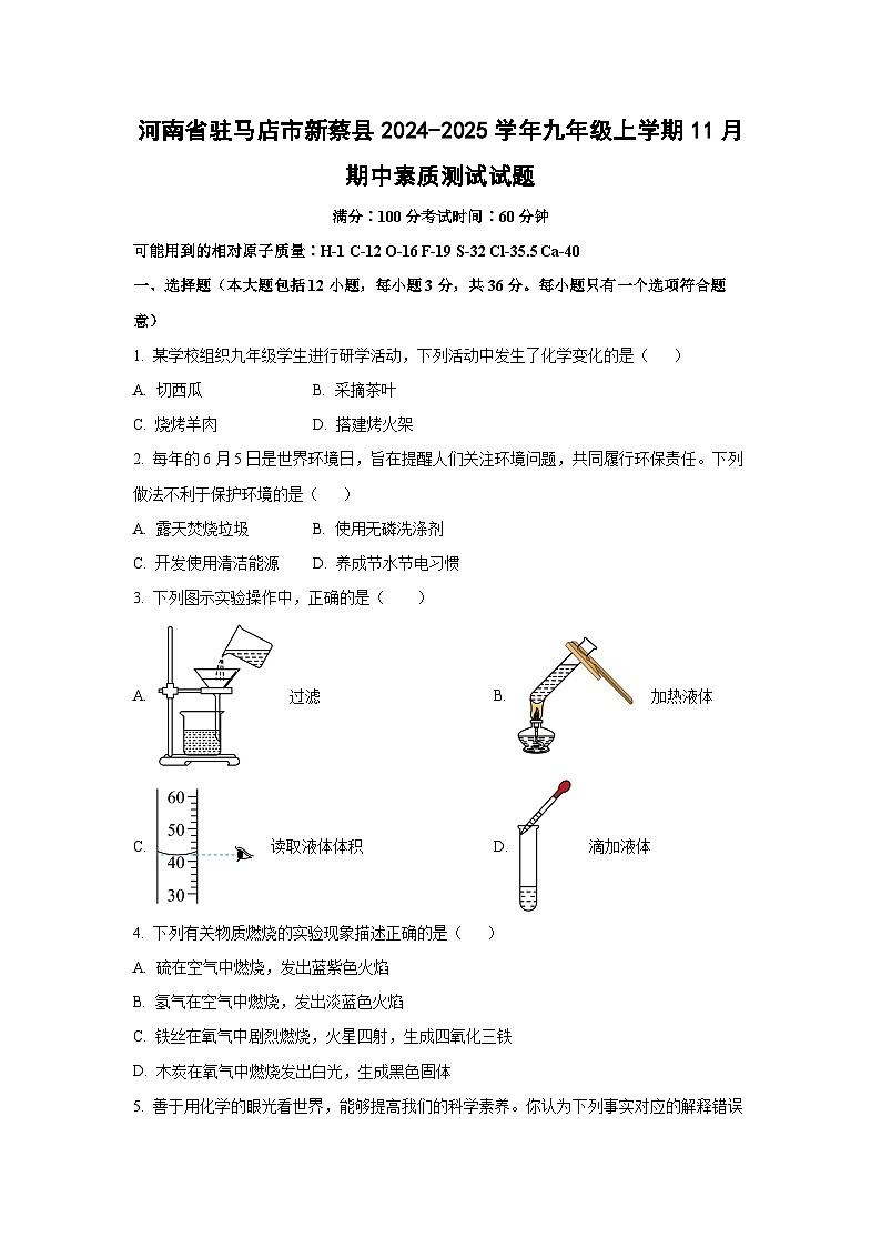 2024~2025学年河南省驻马店市新蔡县九年级（上）11月期中素质测试化学试题（学生版）第1页