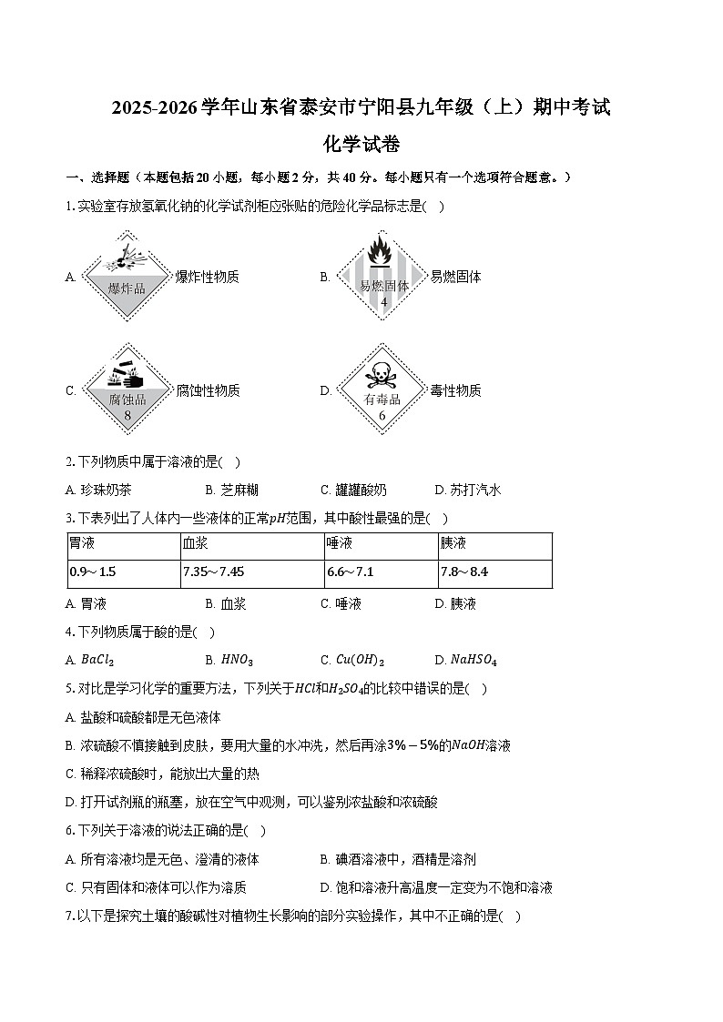 2025-2026学年山东省泰安市宁阳县九年级（上）期中化学试卷（含答案）第1页
