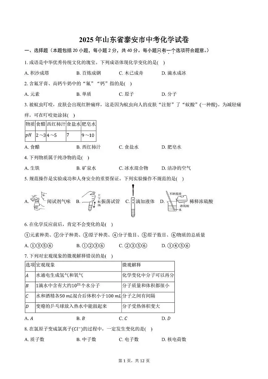 2025年山东省泰安市中考化学试卷（含答案）第1页
