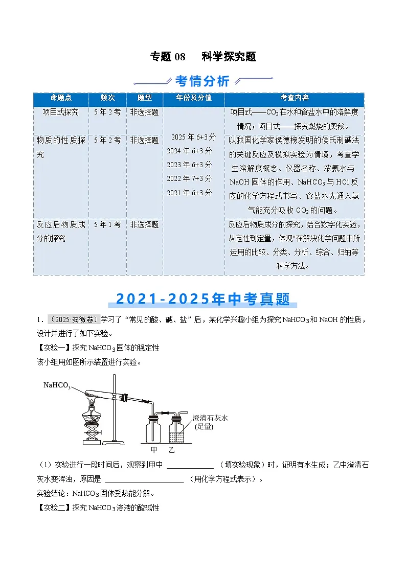专题08 科学探究题（原卷版）第1页