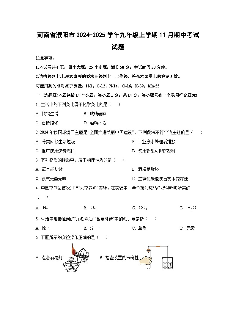 河南省濮阳市2024-2025学年九年级上学期11月期中考试化学试卷（学生版）第1页