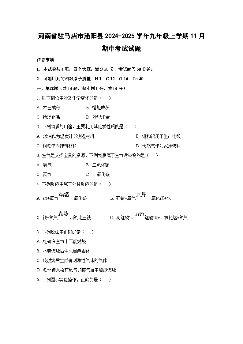 河南省驻马店市泌阳县2024-2025学年九年级上学期11月期中考试化学试卷（学生版）第1页