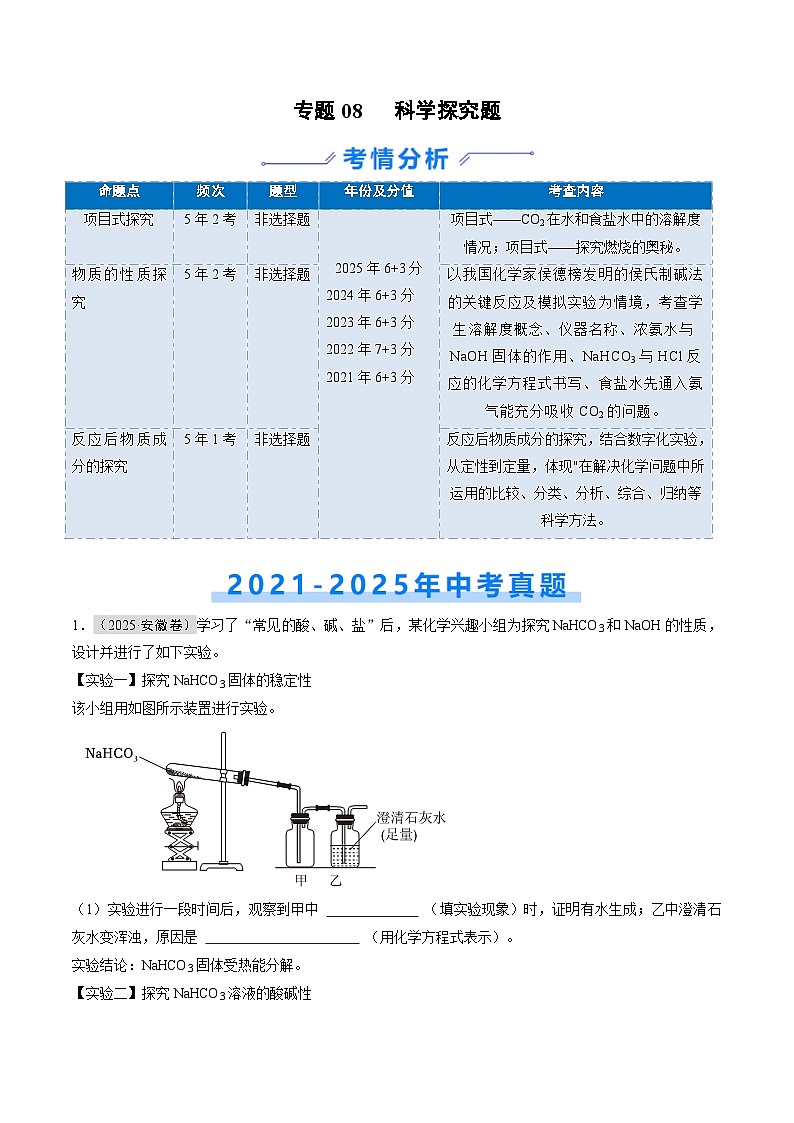 专题08 科学探究题（解析版）第1页