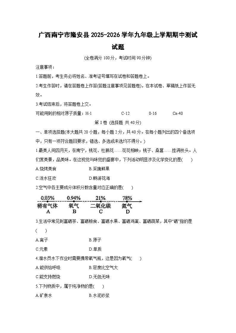 广西南宁市隆安县2025-2026学年九年级上学期期中测试化学试卷（学生版）第1页
