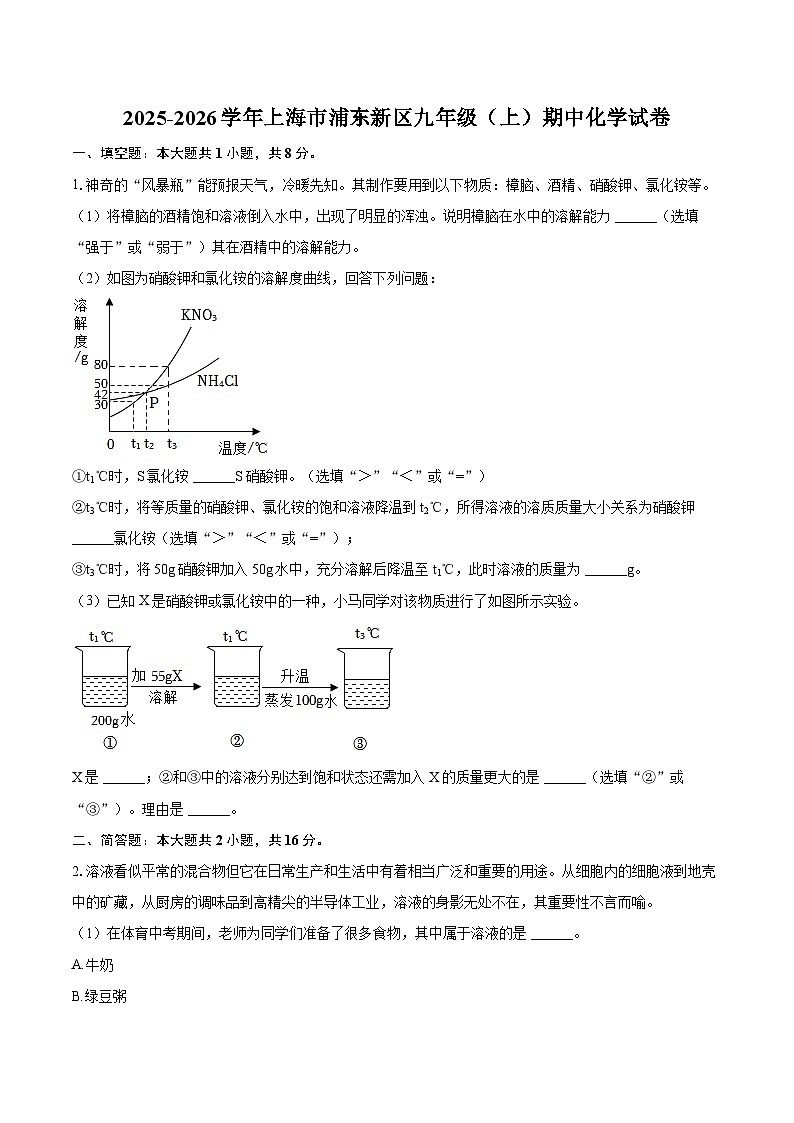 2025-2026学年上海市浦东新区九年级（上）期中化学试卷-自定义类型第1页