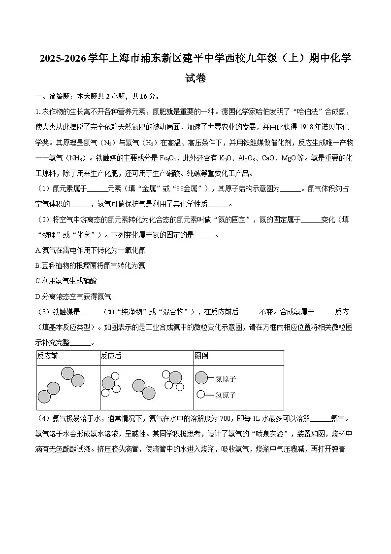 2025-2026学年上海市浦东新区建平中学西校九年级（上）期中化学试卷-自定义类型第1页