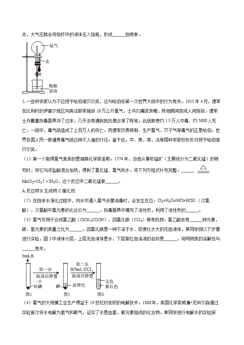 2025-2026学年上海市浦东新区建平中学西校九年级（上）期中化学试卷-自定义类型第2页