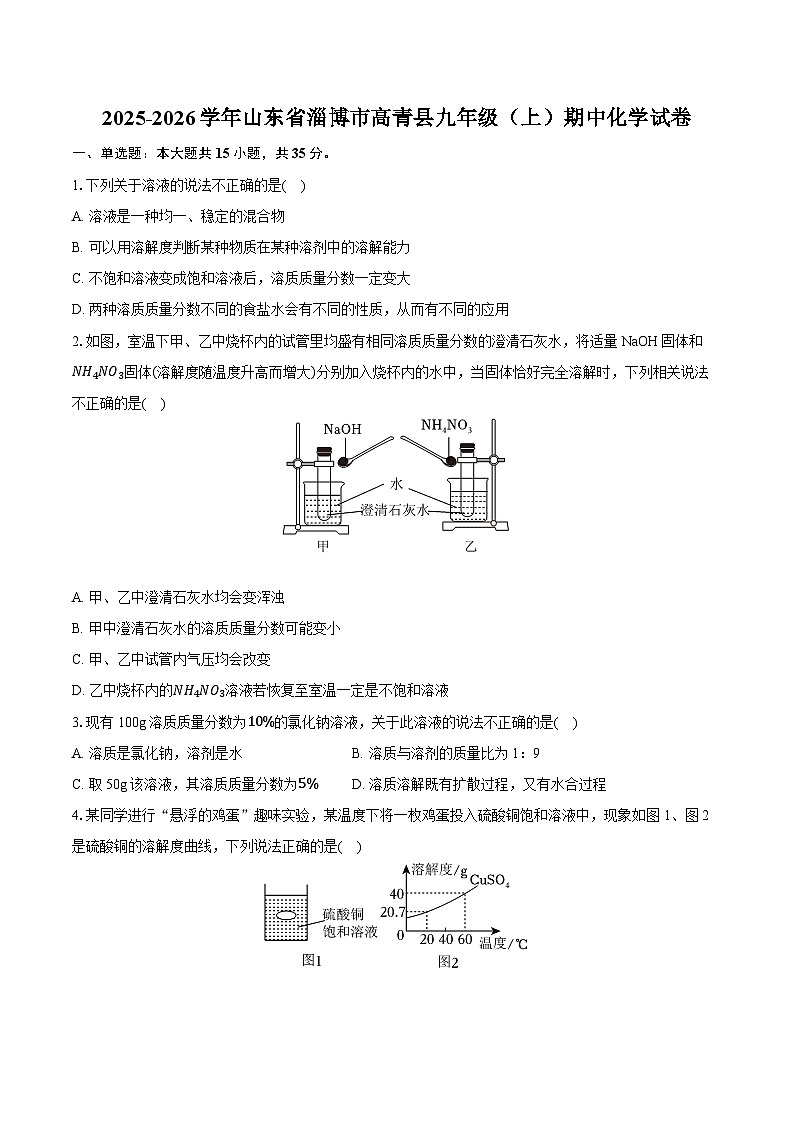 2025-2026学年山东省淄博市高青县九年级（上）期中化学试卷第1页