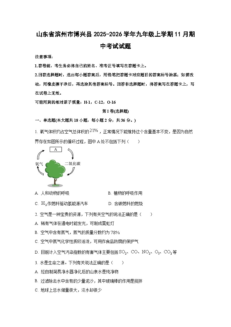 2025-2026学年山东省滨州市博兴县九年级上学期11月期中考试化学试题（学生版）第1页