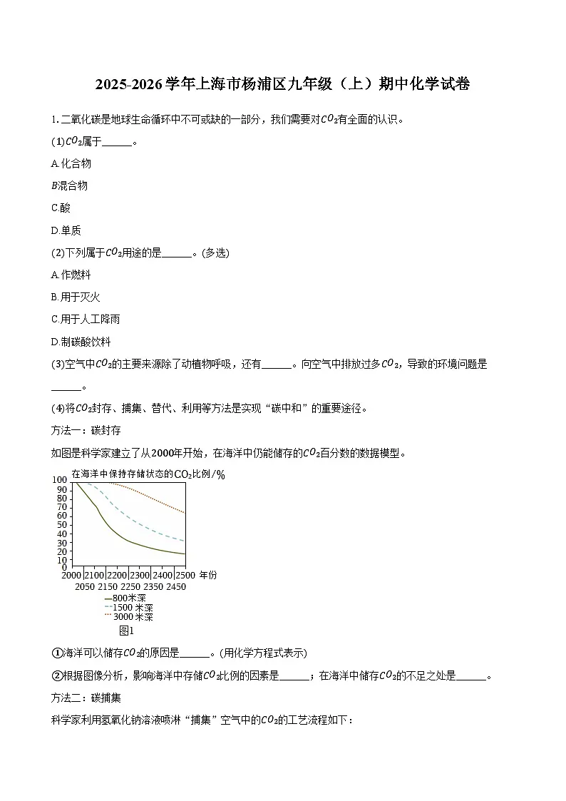 上海市杨浦区2025-2026学年九年级（上）期中化学试卷（含答案）第1页