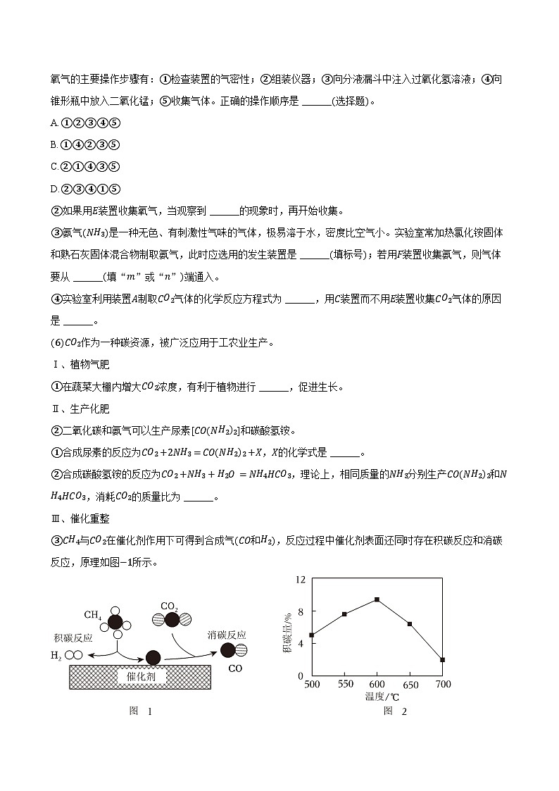 2025-2026学年上海市嘉定区育才中学九年级（上）期中化学试卷（含答案）第3页