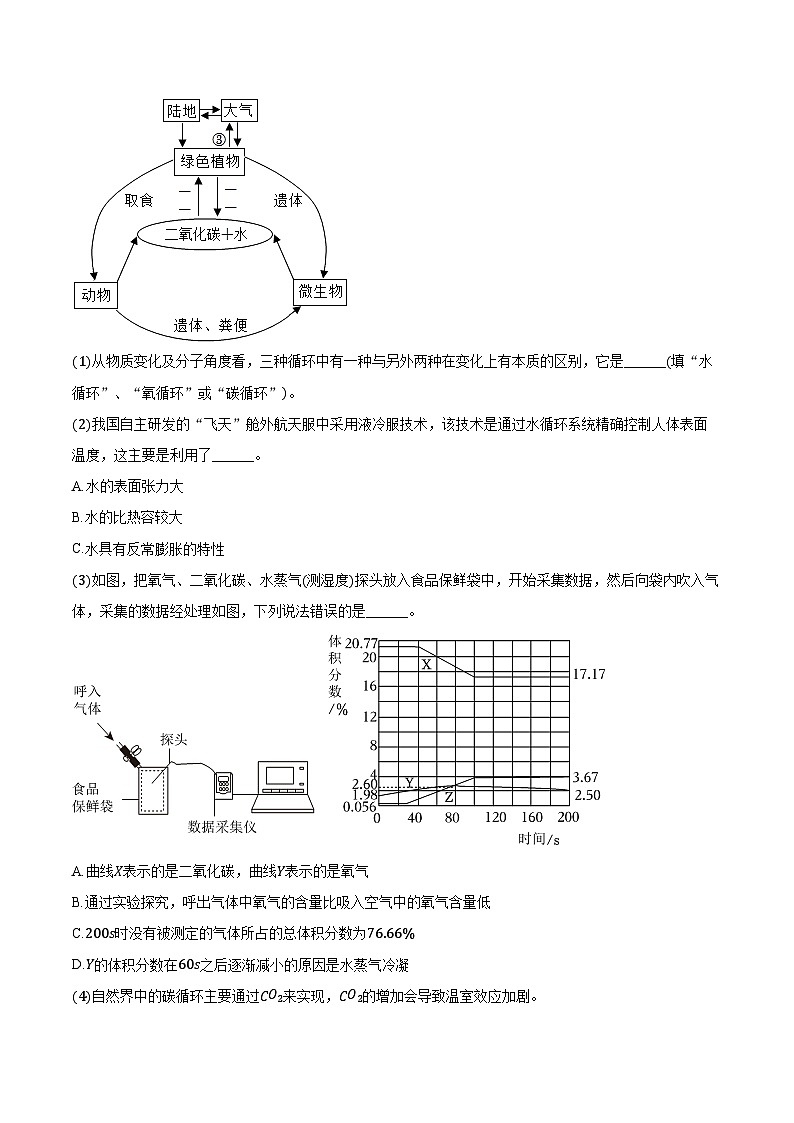 2025-2026学年上海市浦东新区十校联考九年级（上）期中化学试卷（含答案）第3页
