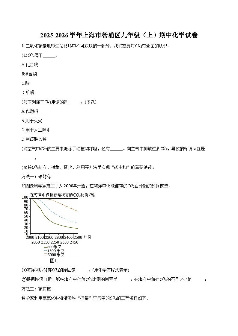 2025-2026学年上海市杨浦区九年级（上）期中化学试卷（含答案）第1页