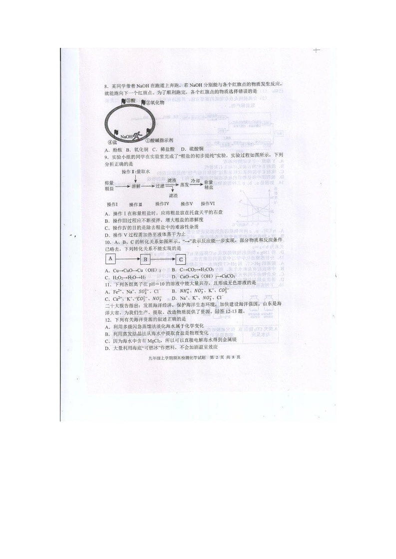 山东省泰安市新泰市2024-2025学年九年级上学期1月期末考试化学试题第2页