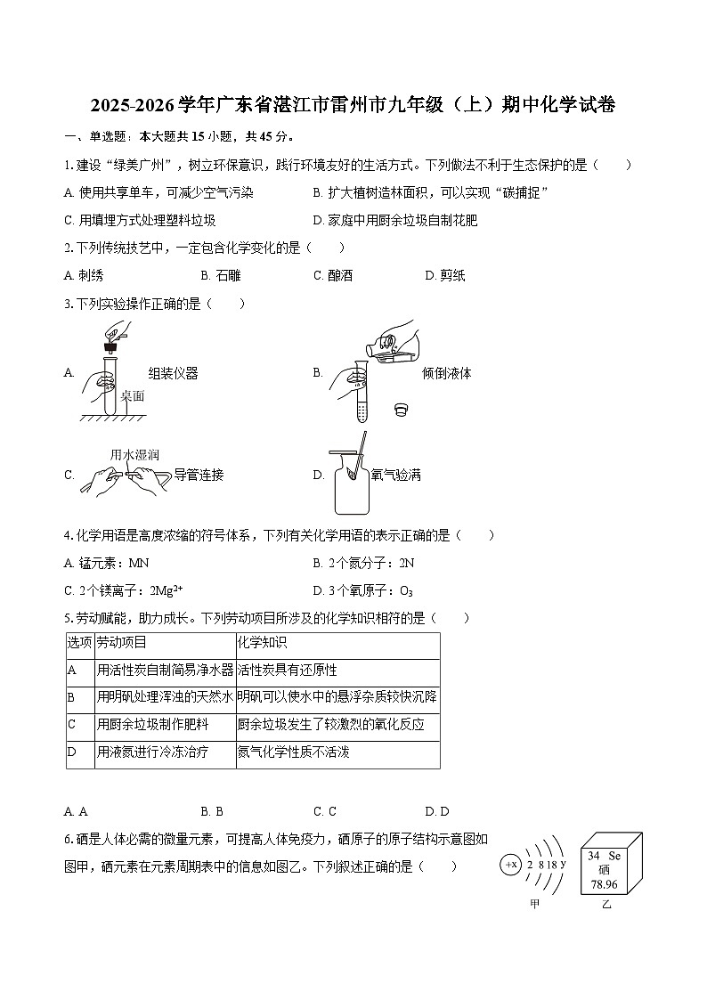 2025-2026学年广东省湛江市雷州市九年级（上）期中化学试卷-自定义类型第1页