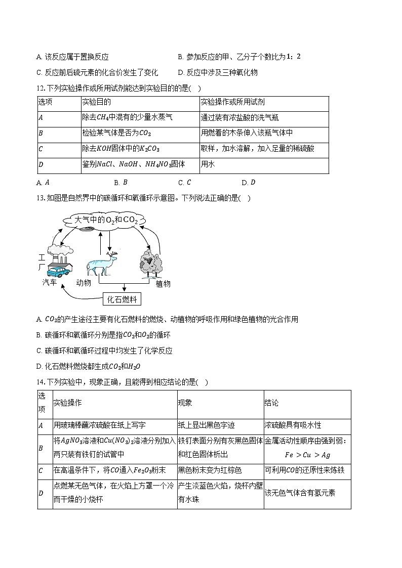 2025-2026学年广东省广州市执信中学创新班九年级（上）期中化学试卷（含答案）第3页