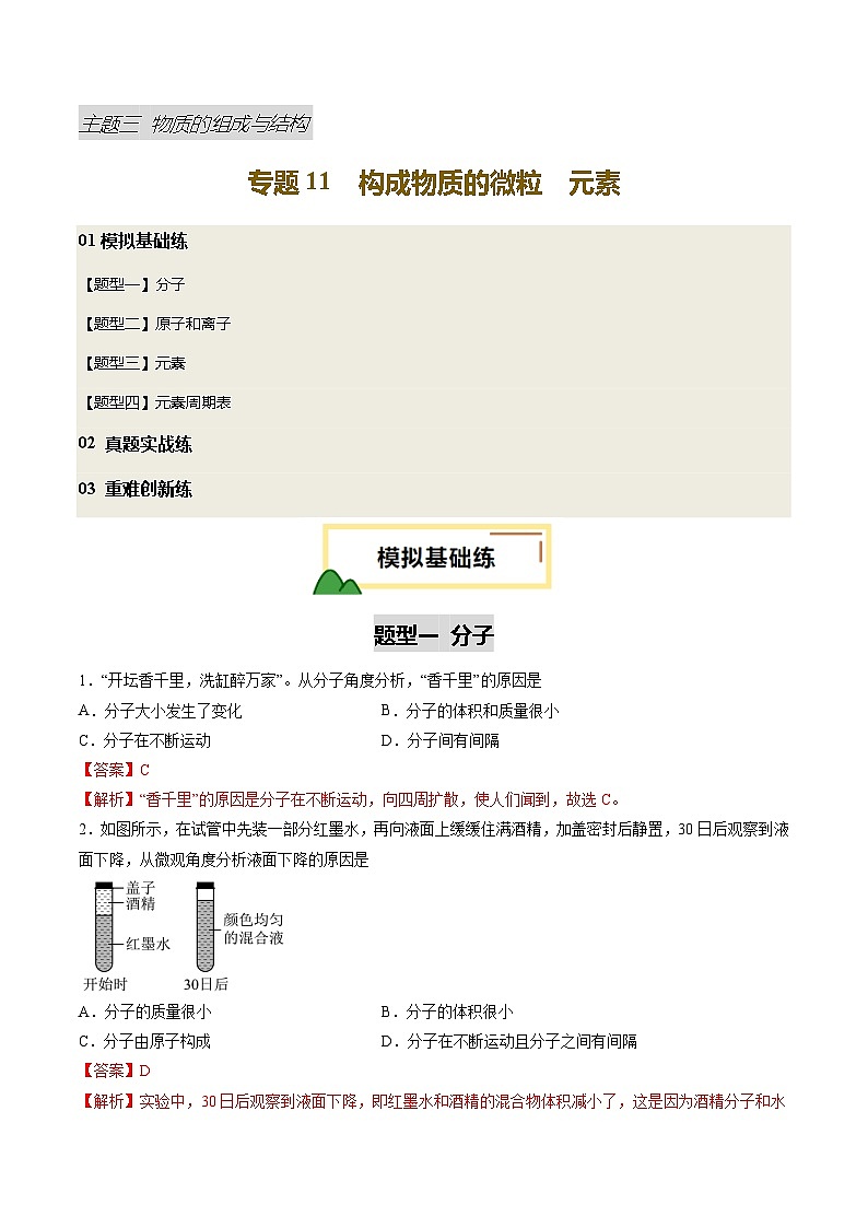 专题11 构成物质的微粒 元素（练习）（解析版）第1页