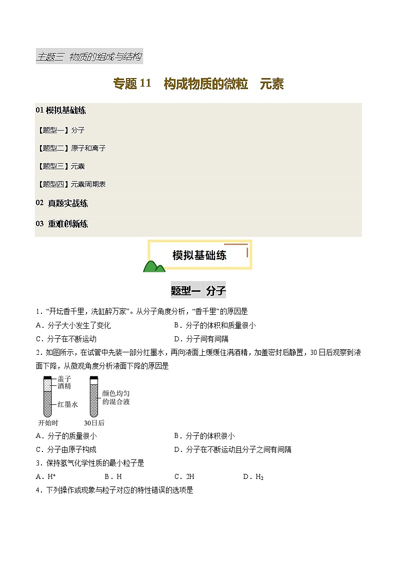 专题11 构成物质的微粒 元素（练习）（原卷版）第1页