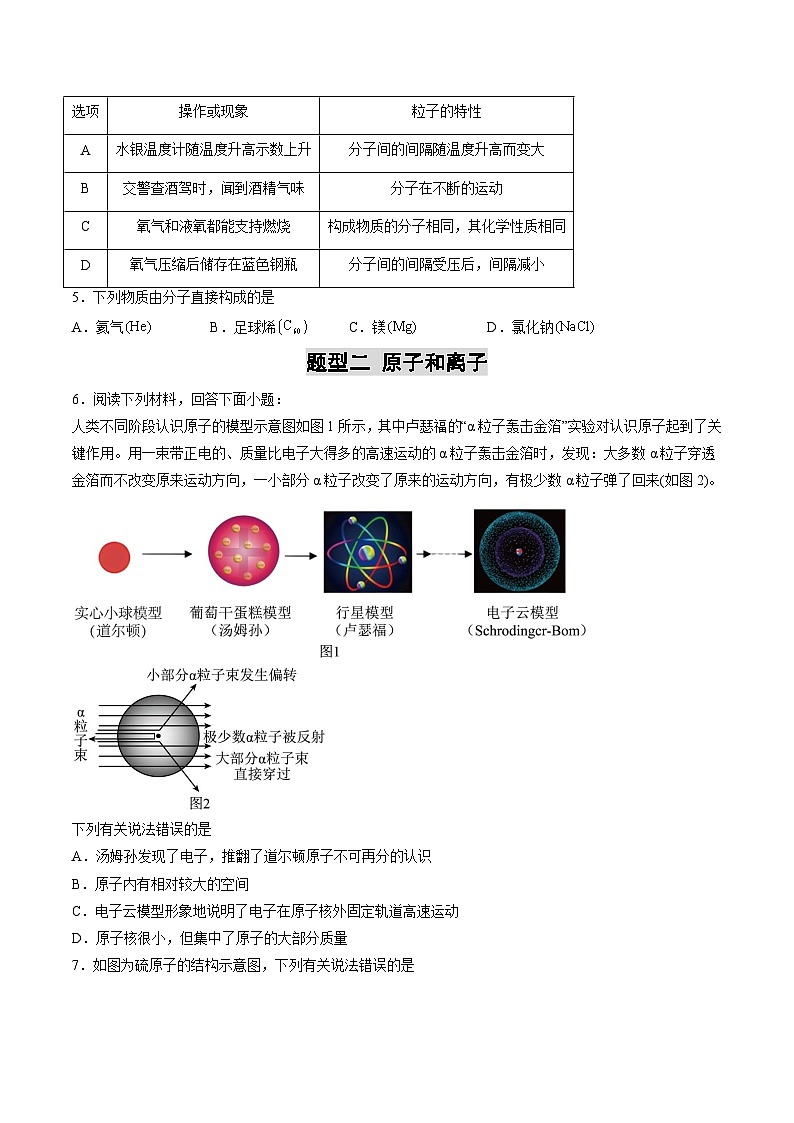 专题11 构成物质的微粒 元素（练习）（原卷版）第2页