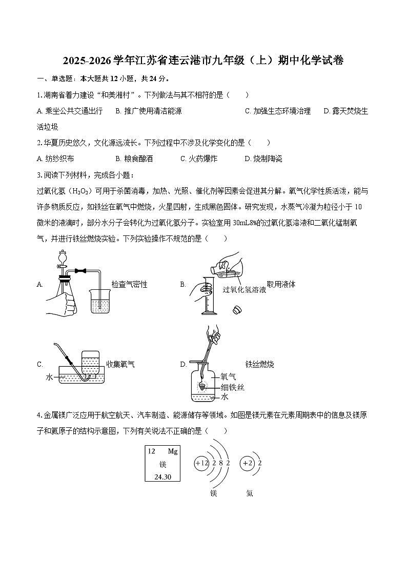 2025-2026学年江苏省连云港市九年级（上）期中化学试卷-自定义类型第1页