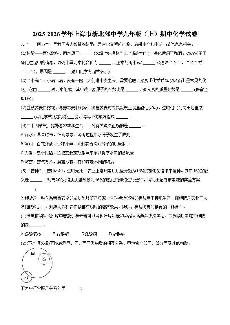 2025-2026学年上海市新北郊中学九年级（上）期中化学试卷（含答案）第1页