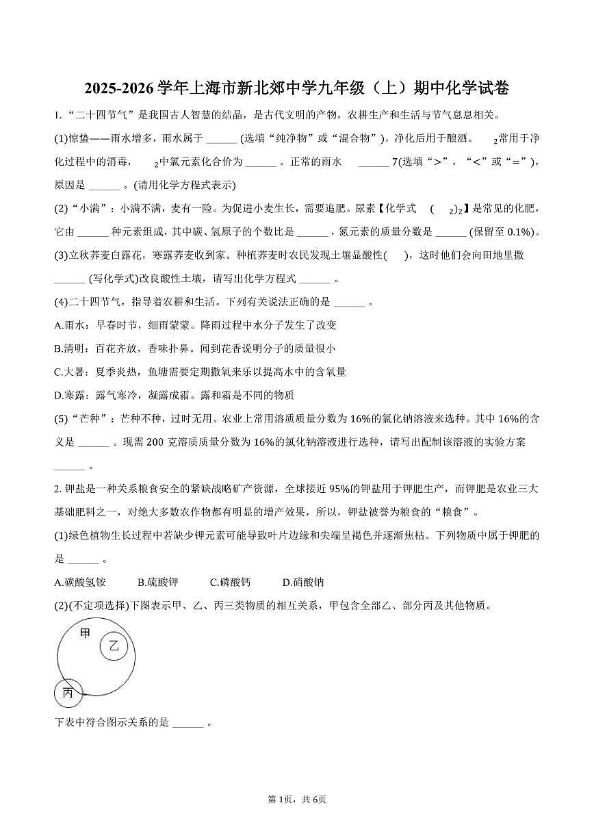 2025-2026学年上海市新北郊中学九年级（上）期中化学试卷（含答案）第1页