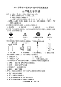 广东省清远市英德市2024-2025学年九年级上学期1月期末考试化学试题