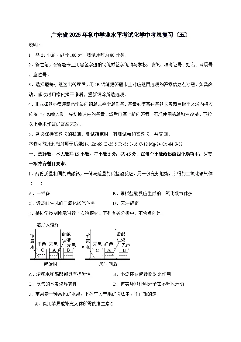 广东省2025年初中学业水平考试化学中考总复习（五）-含答案第1页