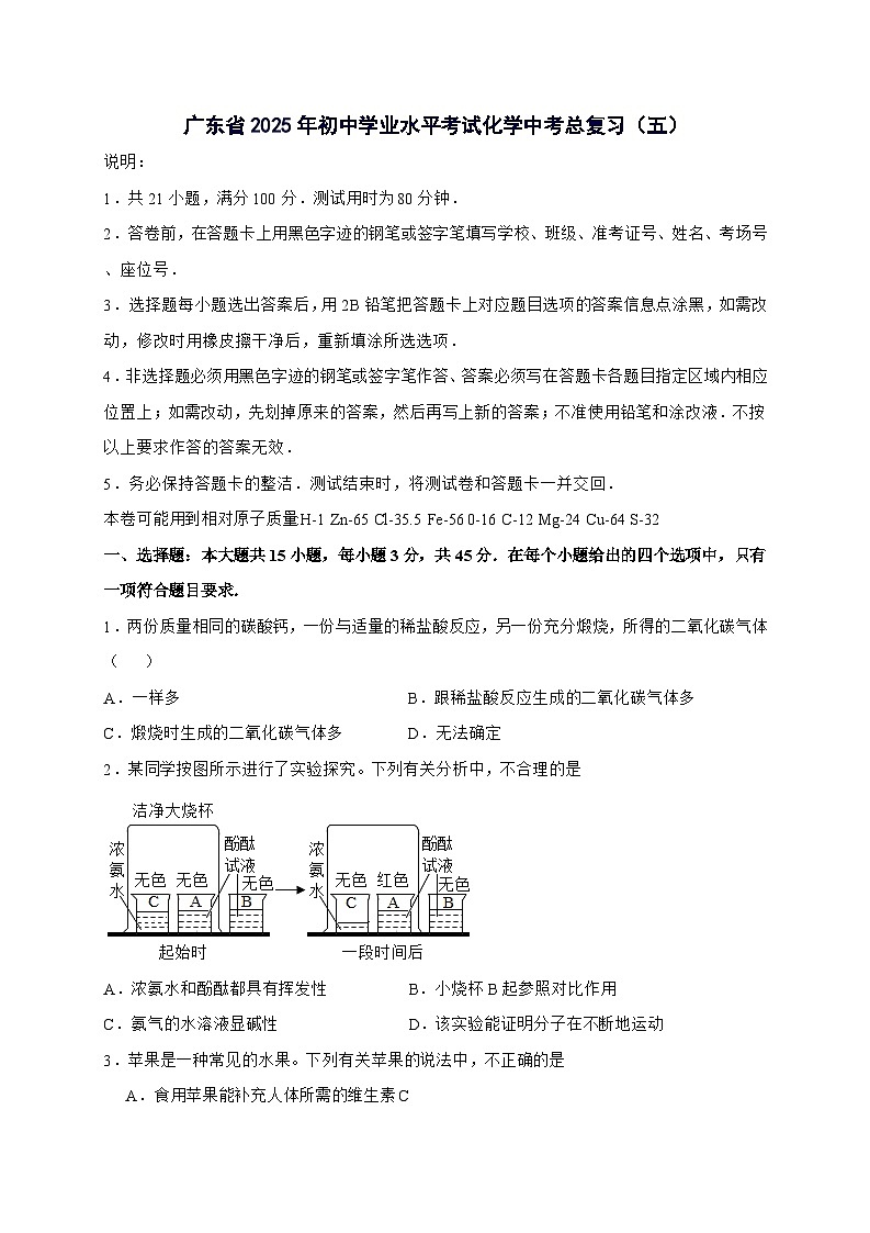 广东省2025年初中学业水平考试化学中考总复习（五）-含答案第1页