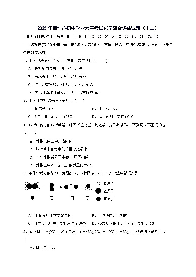 广东省深圳市2025年初中学业水平考试化学综合评估试卷（十二）-含答案第1页