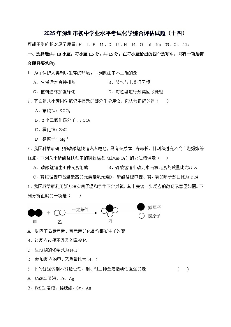 广东省深圳市2025年初中学业水平考试化学综合评估试卷（十四）-含答案第1页