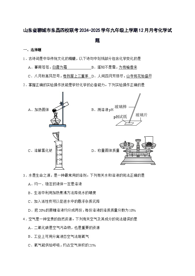山东省聊城市东昌四校联考2025届九年级上册12月月考化学试题-附答案第1页
