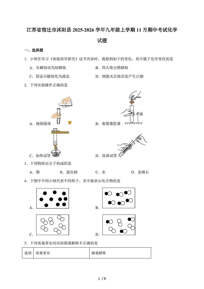 江苏省宿迁市沭阳县2025届九年级上学期11月期中考试化学试卷（含答案）第1页