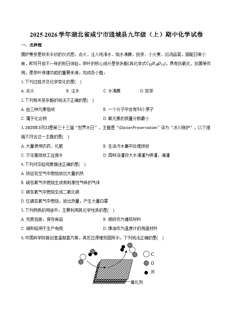 2025-2026学年湖北省咸宁市通城县九年级（上）期中化学试卷（含答案）第1页