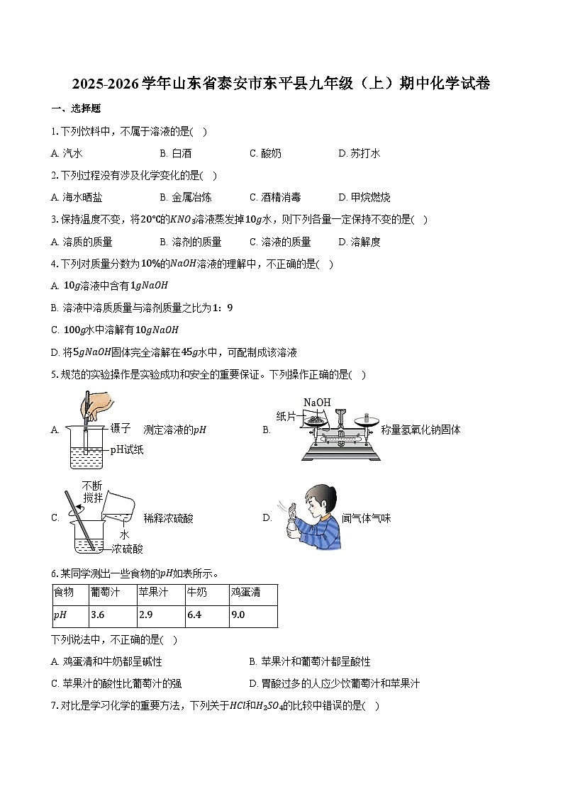 2025-2026学年山东省泰安市东平县九年级（上）期中化学试卷（含答案）第1页