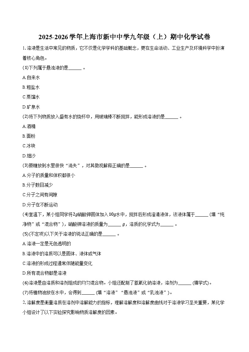 2025-2026学年上海市新中中学九年级（上）期中化学试卷（含答案）第1页