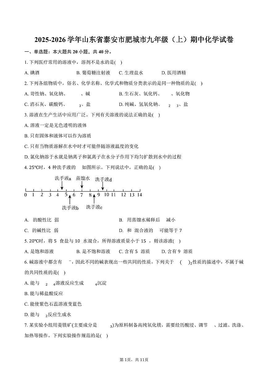 2025-2026学年山东省泰安市肥城市九年级（上）期中化学试卷（含答案）第1页