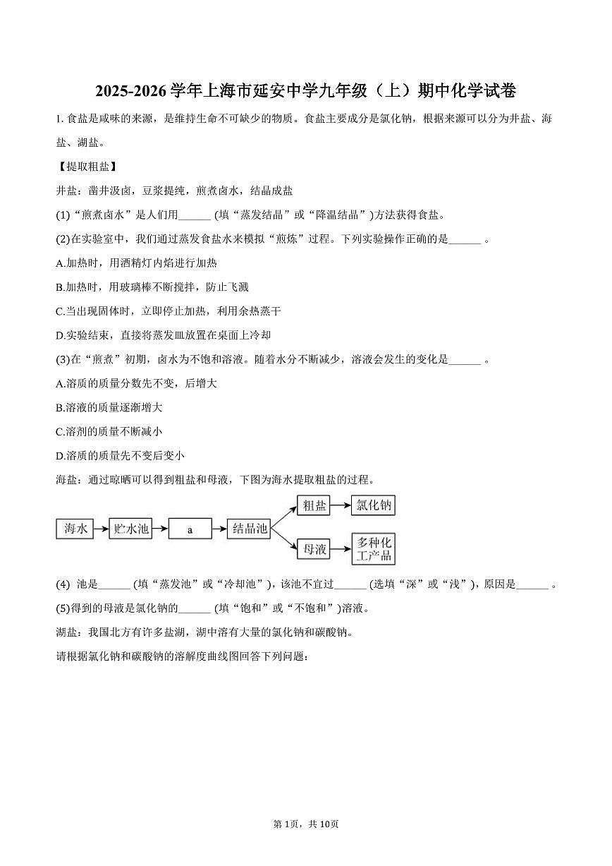 2025-2026学年上海市延安中学九年级（上）期中化学试卷（含答案）第1页