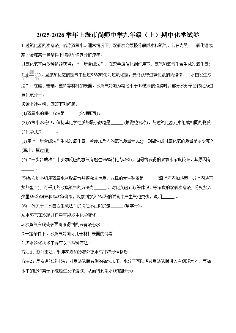 2025-2026学年上海市尚师中学九年级（上）期中化学试卷（含答案）第1页