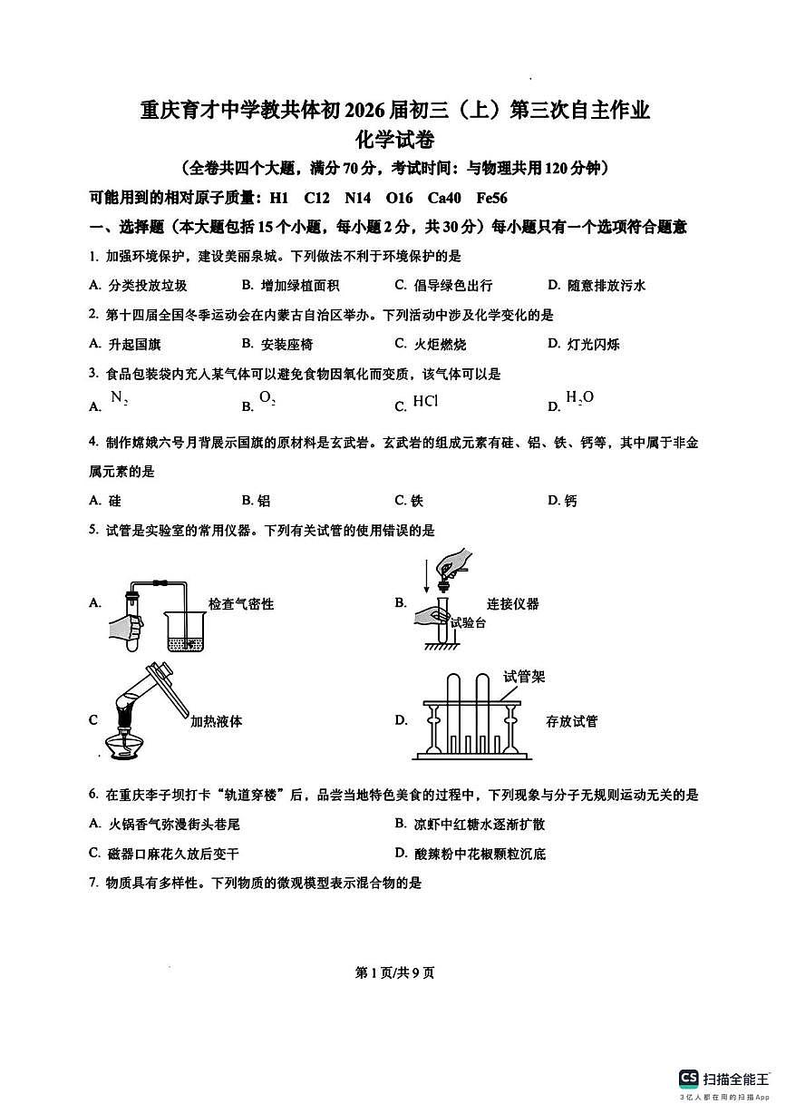 重庆市育才学校共同体2025-2026学年九年级上学期第三次月考化学试卷第1页
