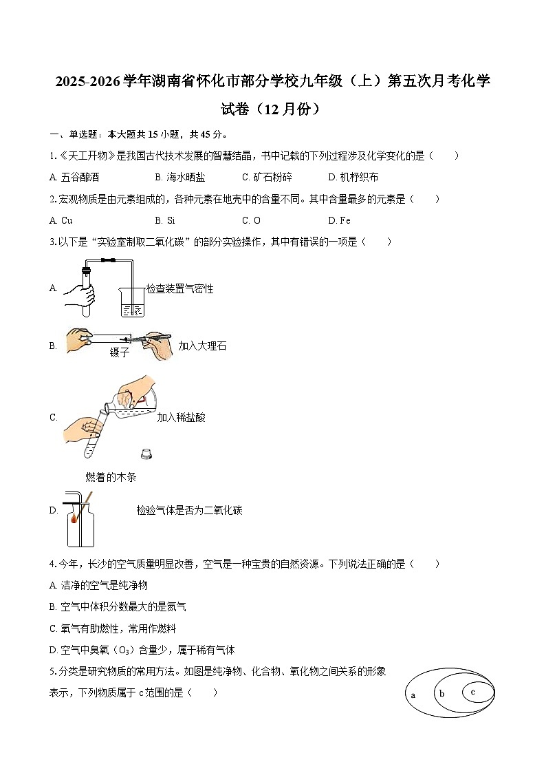 2025-2026学年湖南省怀化市部分学校九年级（上）第五次月考化学试卷（12月份）-自定义类型第1页