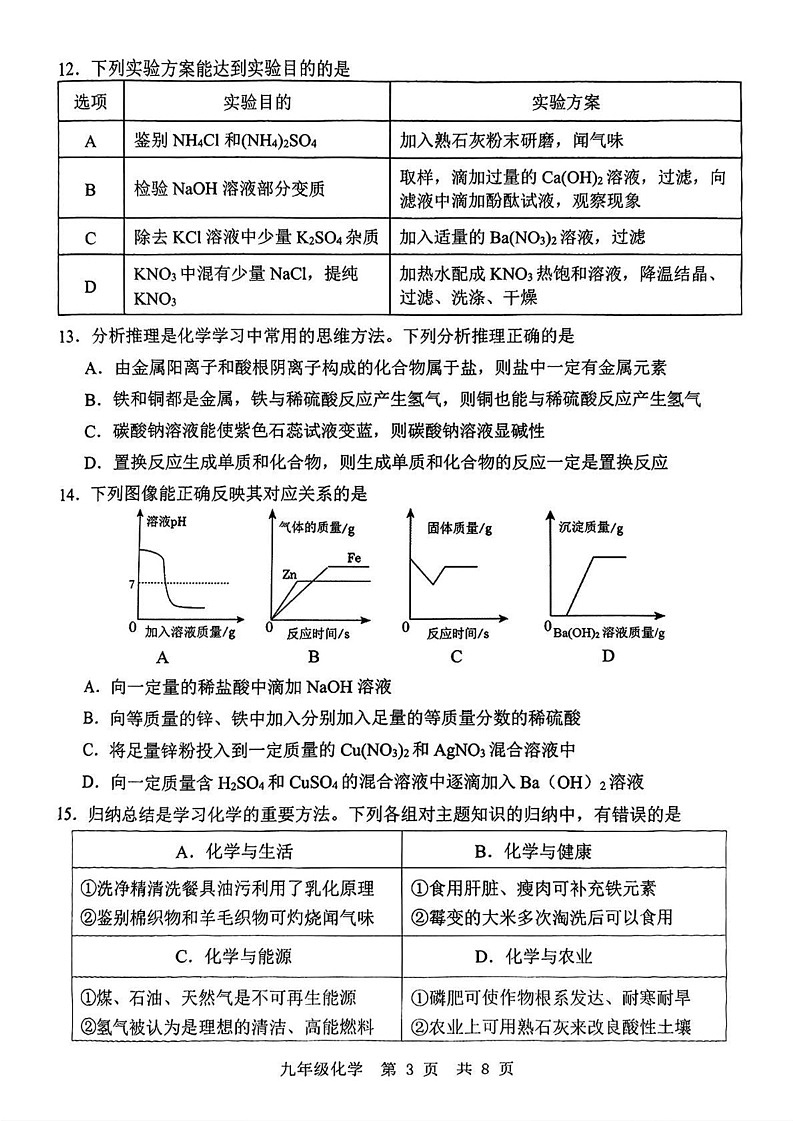 山东省济宁市任城区2024-2025学年九年级上学期期末质量检测化学试题第3页